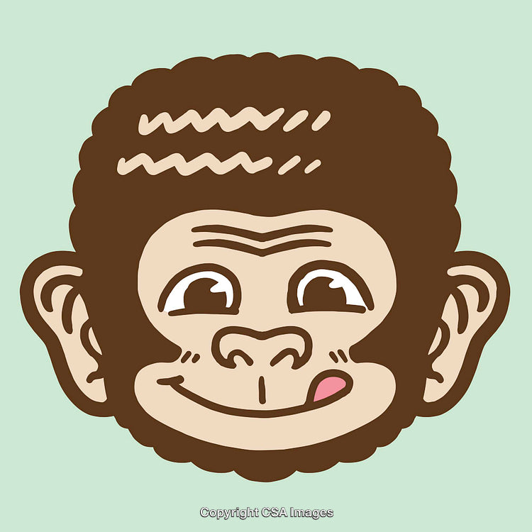 Playful Cartoon Monkey Face Illustration in Bold Line Art Style