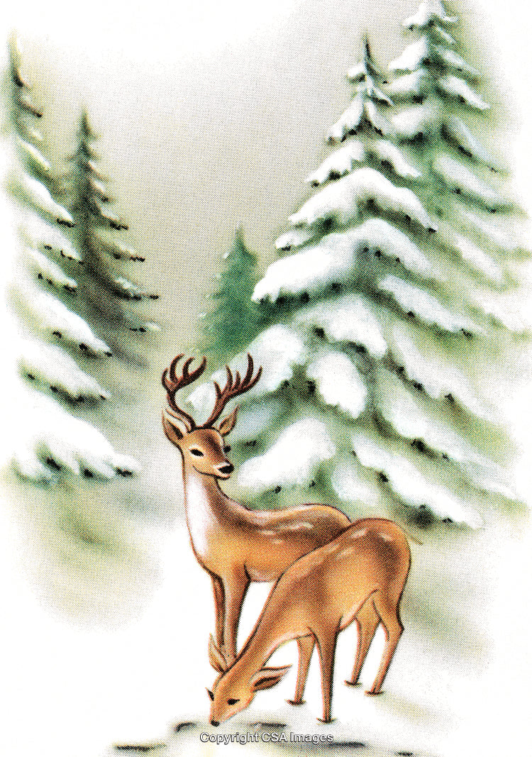 Illustration of Two Deer in a Snowy Winter Forest Landscape