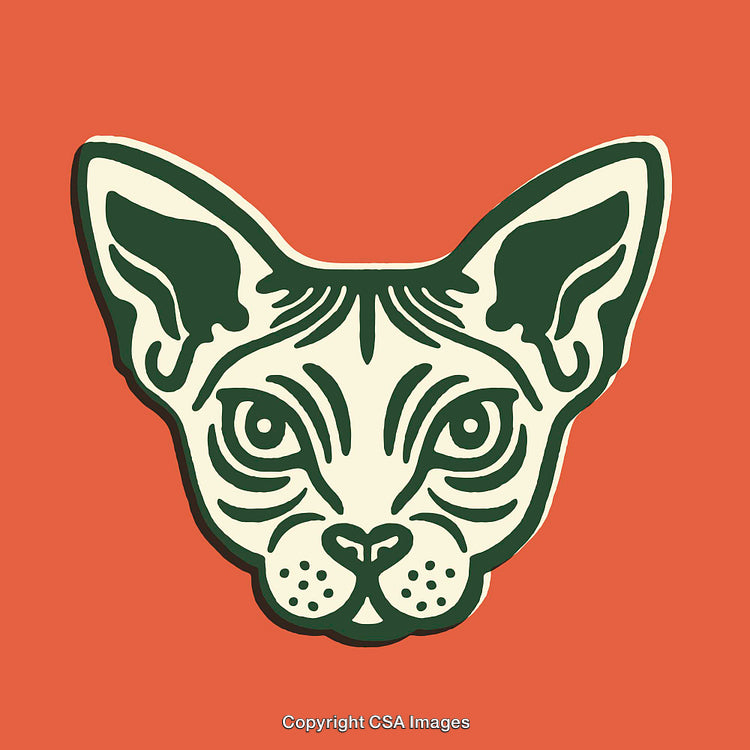 Stylized Line Art Portrait of Sphynx Cat on Red Background