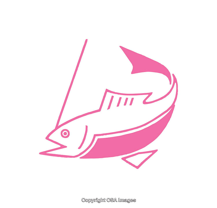 Simple Pink Fish and Boat Icon on White Background