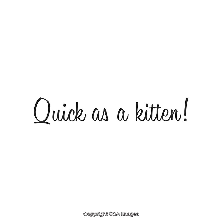 Inspirational Phrase 'Quick As A Kitten' on a Minimalist White Background