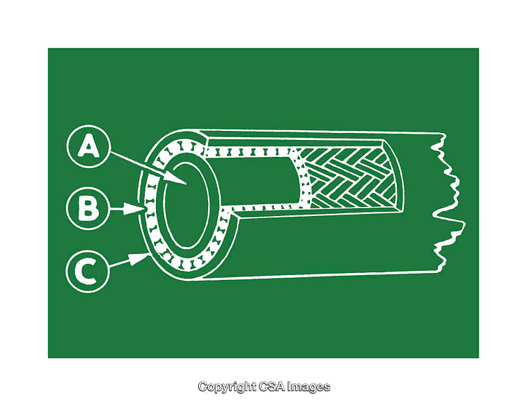 Cross-Section Diagram of a Multi-Layered Pipe on Green Background