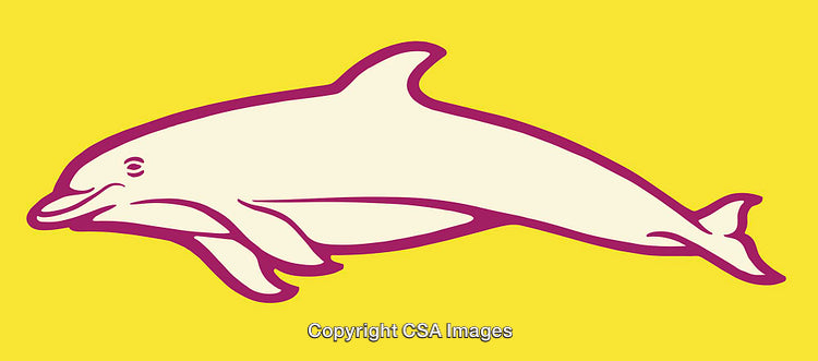 Colorful Line Art Illustration of a Dolphin on a Bright Yellow Background