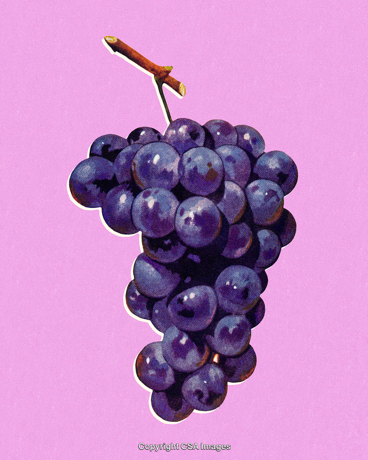 Table Grapes Bunch on Pink Background with Artistic Style