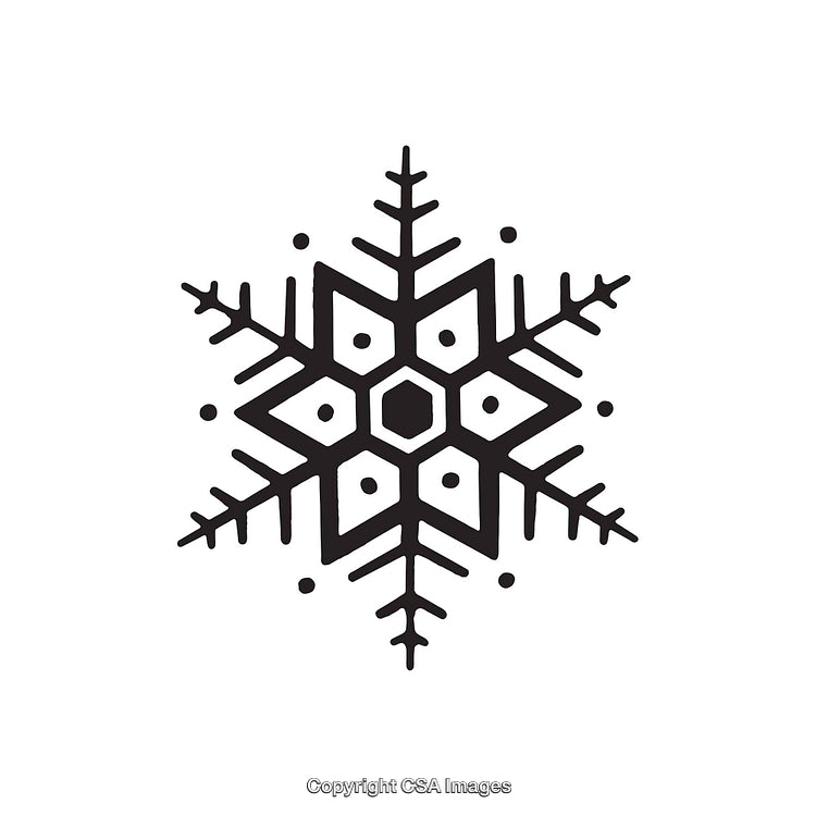 Black and White Geometric Snowflake Dingbat Design with Symmetry