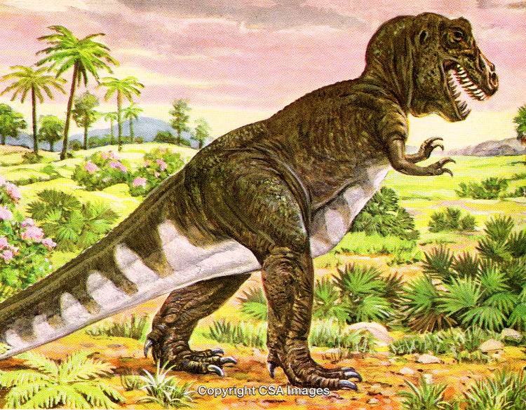 Illustration of a Tyrannosaurus Rex Roaming in a Prehistoric Jungle Landscape