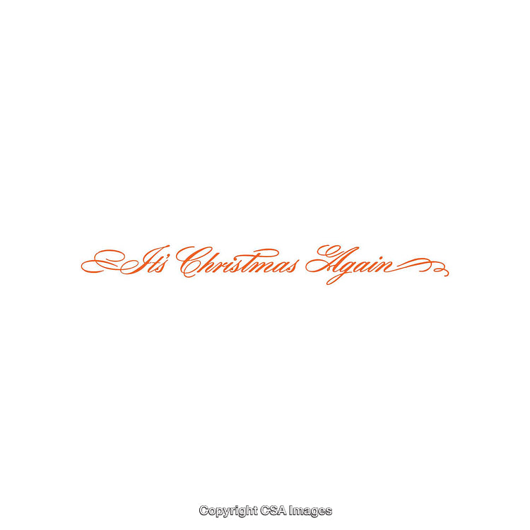Elegant Script Text Highlighting the Joy of Christmas Celebration