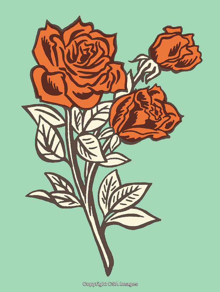 Colorful Line Art of Orange Roses with Green Background