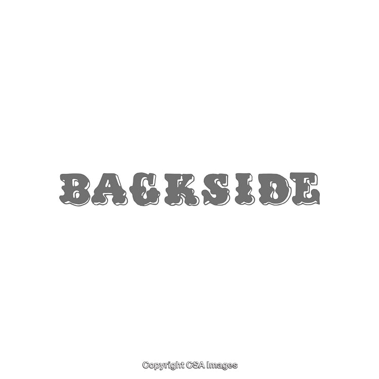 Gray Text Design Featuring the Word 'Backside' in Artistic Font