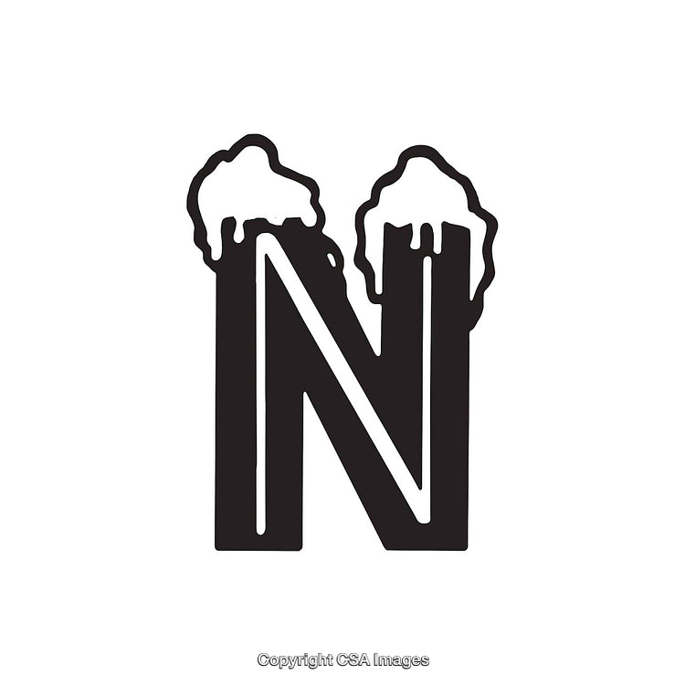 Letter N with Artistic Ice Detailing in Minimalistic Black and White Style