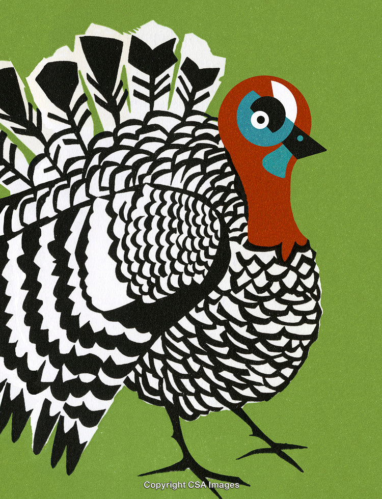 Colorful Artistic Depiction of a Turkey on a Green Background