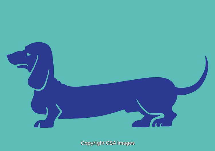 Blue Dachshund Line Art on Teal Background in Silhouette Style