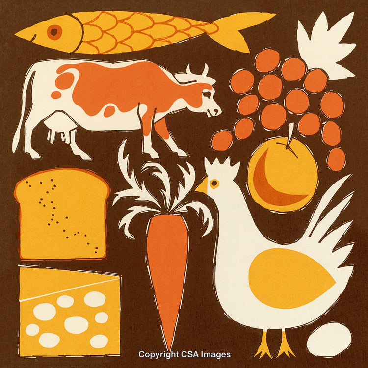 Colorful Illustration of Food Items and Animals in a Retro Style Art