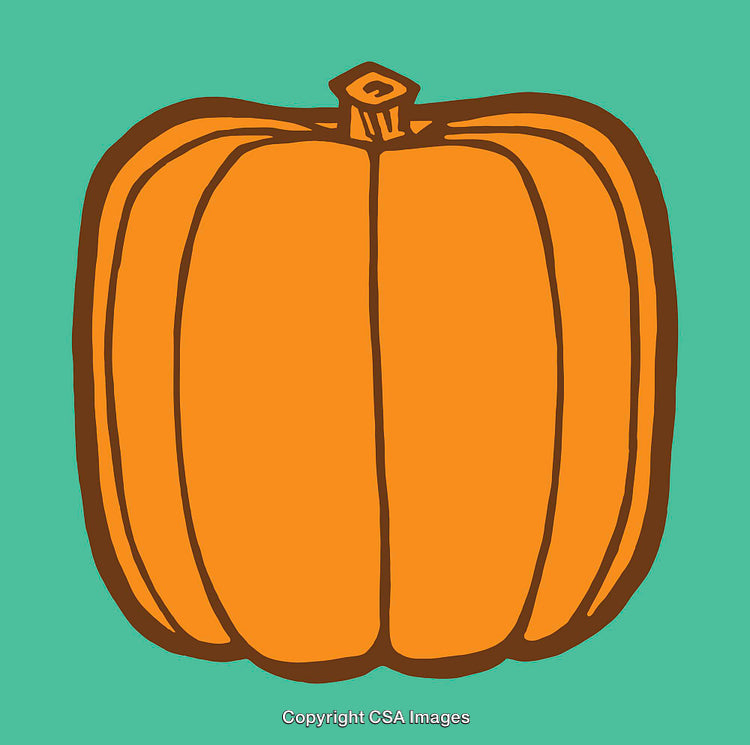 Minimalist Color Illustration of a Pumpkin on a Teal Background