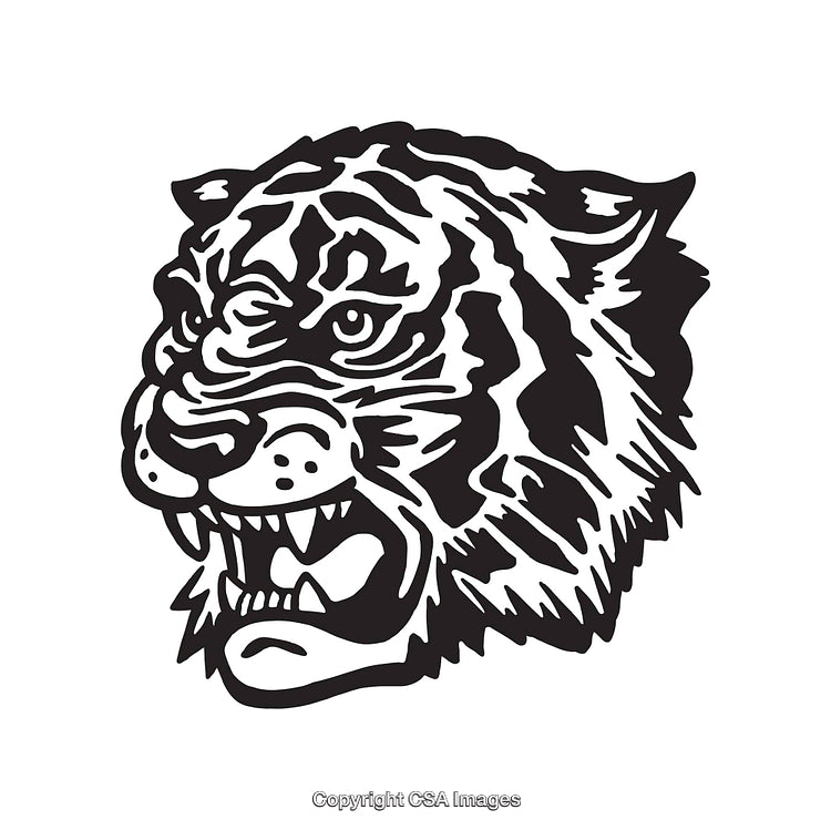 Detailed Line Art of an Aggressive Tiger Head with Fierce Expression