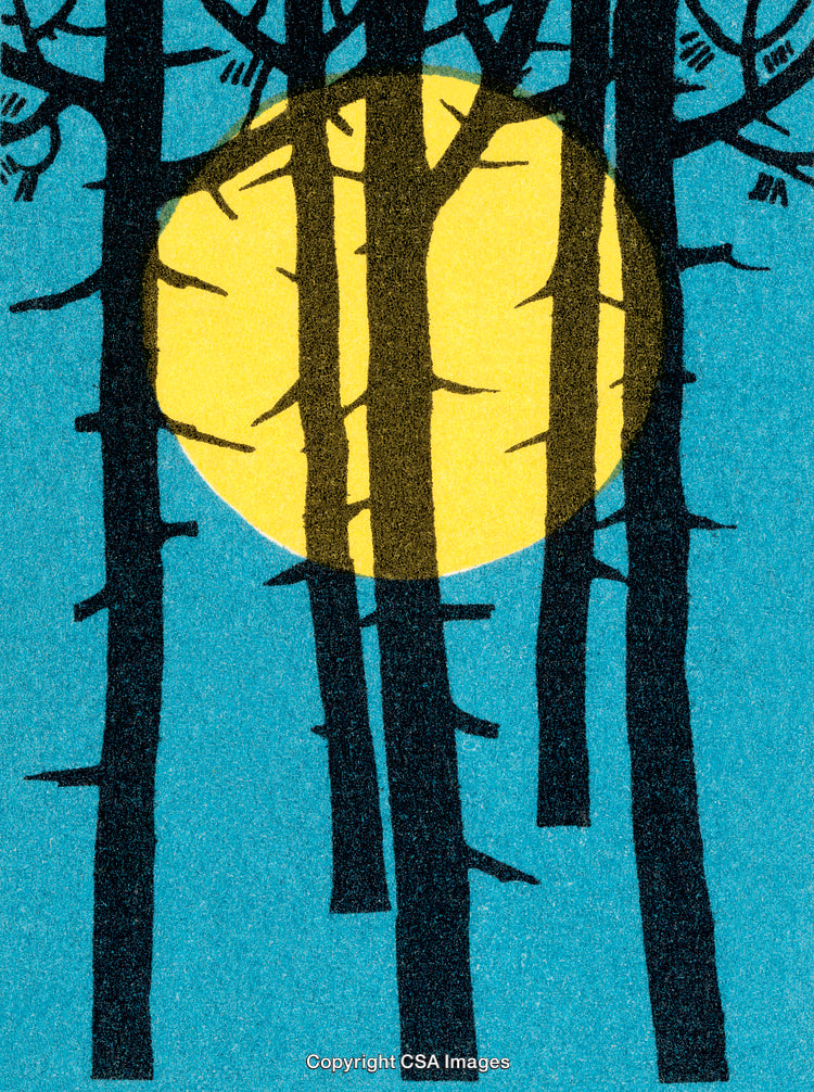 Abstract Forest Illustration with Trees Against a Full Moon at Night