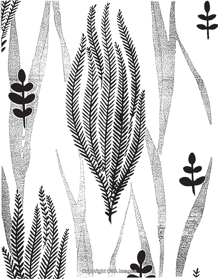 Black and White Botanical Illustration with Abstract Patterns