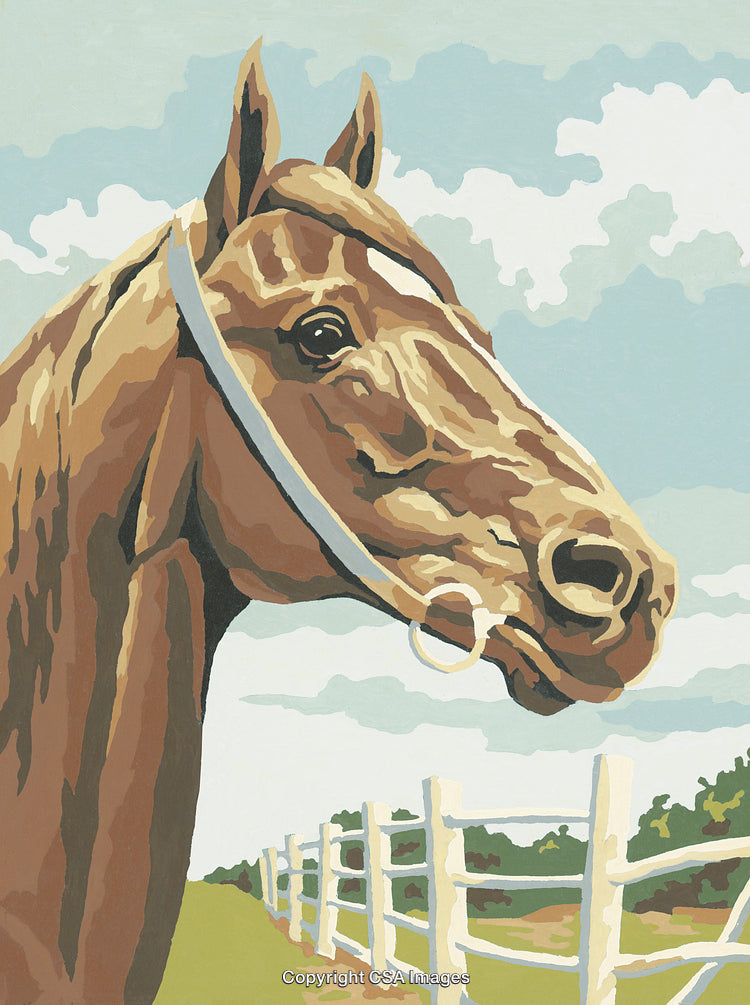 Detailed Paint By Numbers Style Illustration of a Horse in a Pastoral Scene