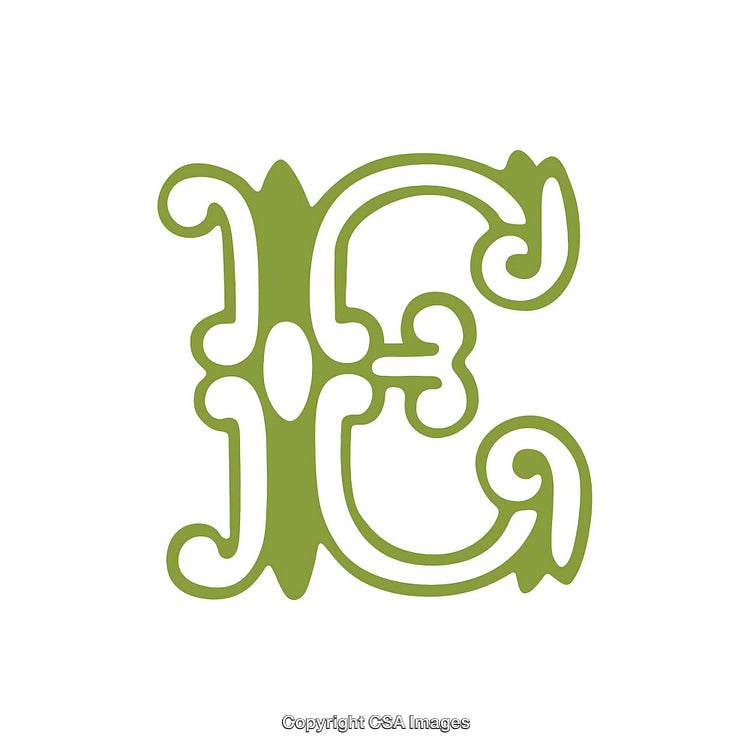 Intricate Green Ornamental Letter E on a White Background