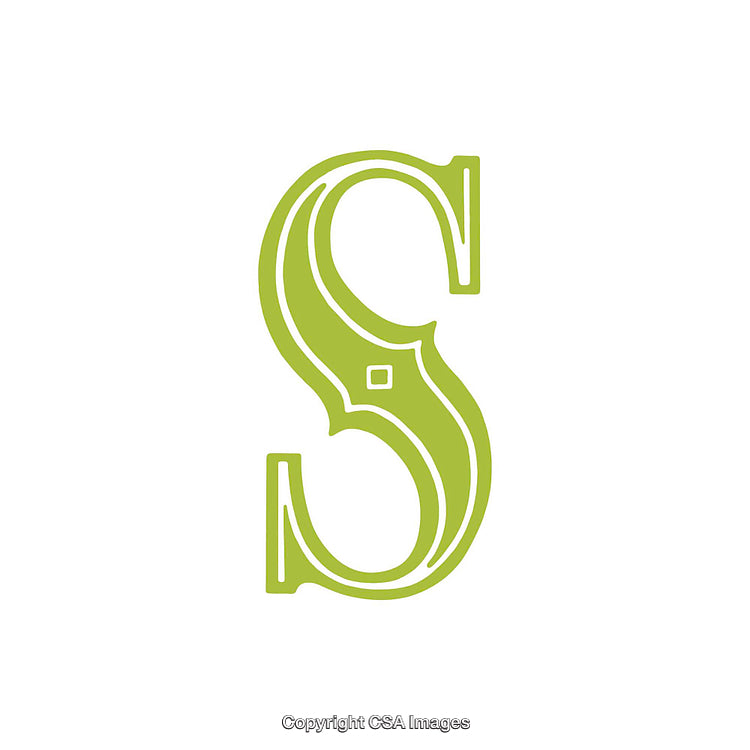 Elegant Green Letter S with Ornamental Design on White Background
