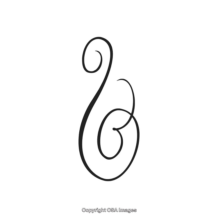 Elegant Black and White Decorative Ornamental Swirl Design Element