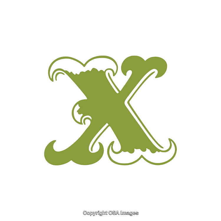 Ornate Green Letter X Design with Decorative Elements on White Background