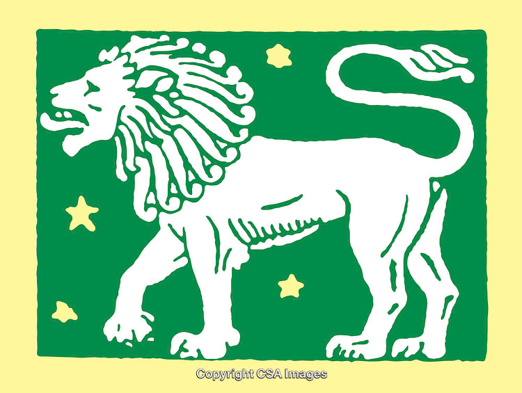 Lion Illustration with Starry Background in Bold Color Block Style