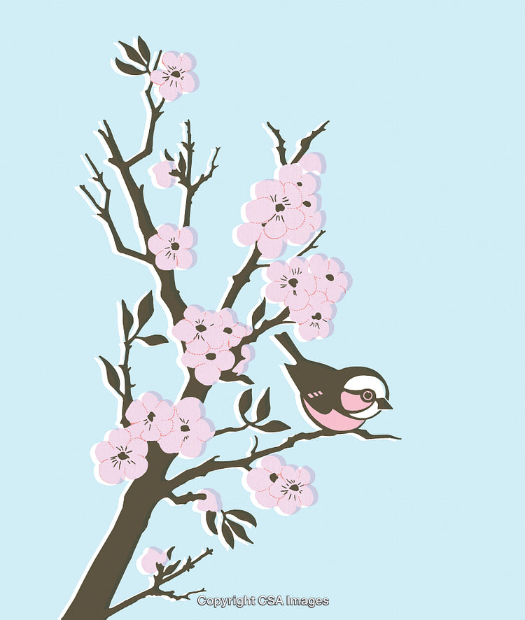 Illustration of Blossoming Tree Branch with Bird on Light Blue Background