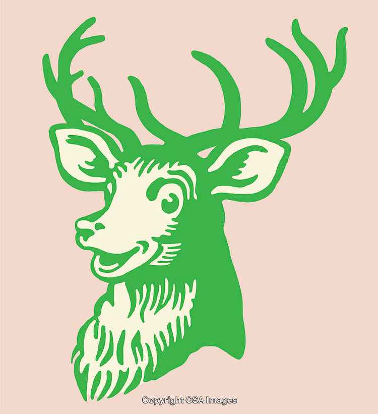 Colorful Graphic of a Happy Deer with Large Antlers