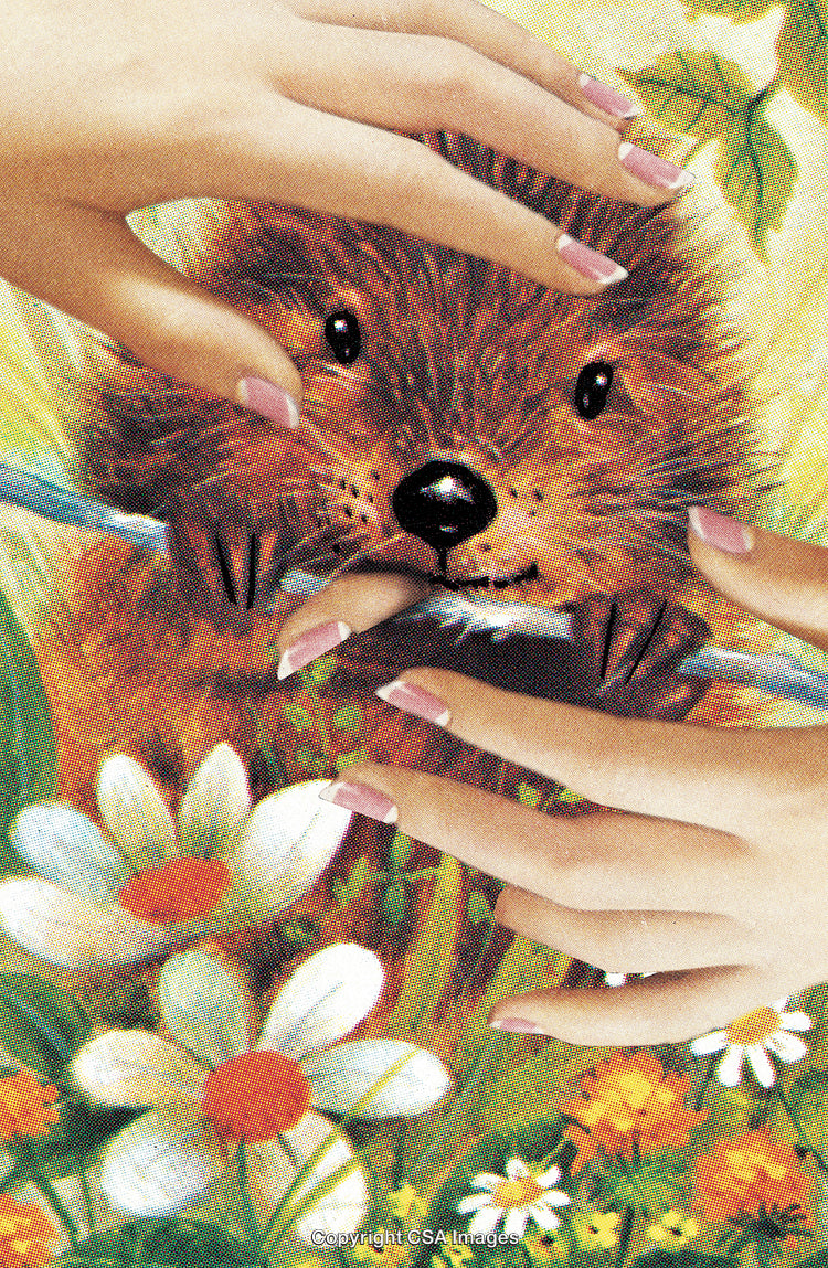Hands Interacting with Adorable Critter Amid a Colorful Nature Scene