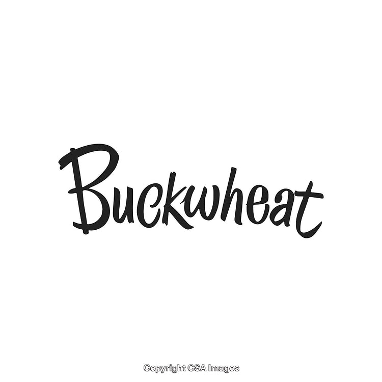 Creative Hand-Lettered Text Design Featuring the Word 'Buckwheat' in Stylish Font