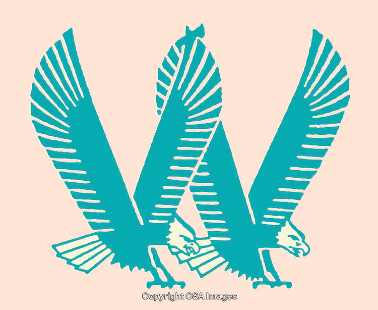 Stylized Illustration of Two Eagles in a Symmetrical Design in Teal