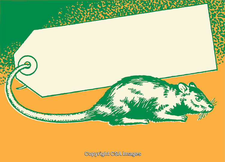 Vintage Line Art Illustration of a Rat and Tag Design