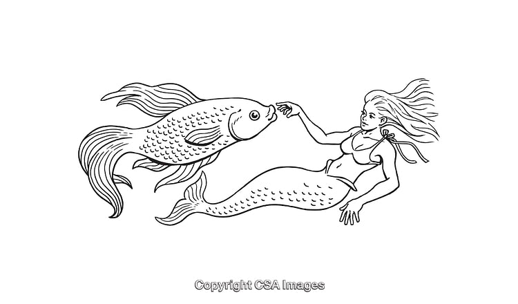 Line Art Illustration of a Mermaid Interacting with a Large Fish