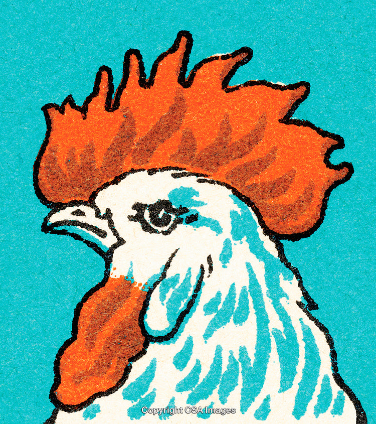 Vibrant Illustration of a Rooster with Bold Colors on a Blue Background
