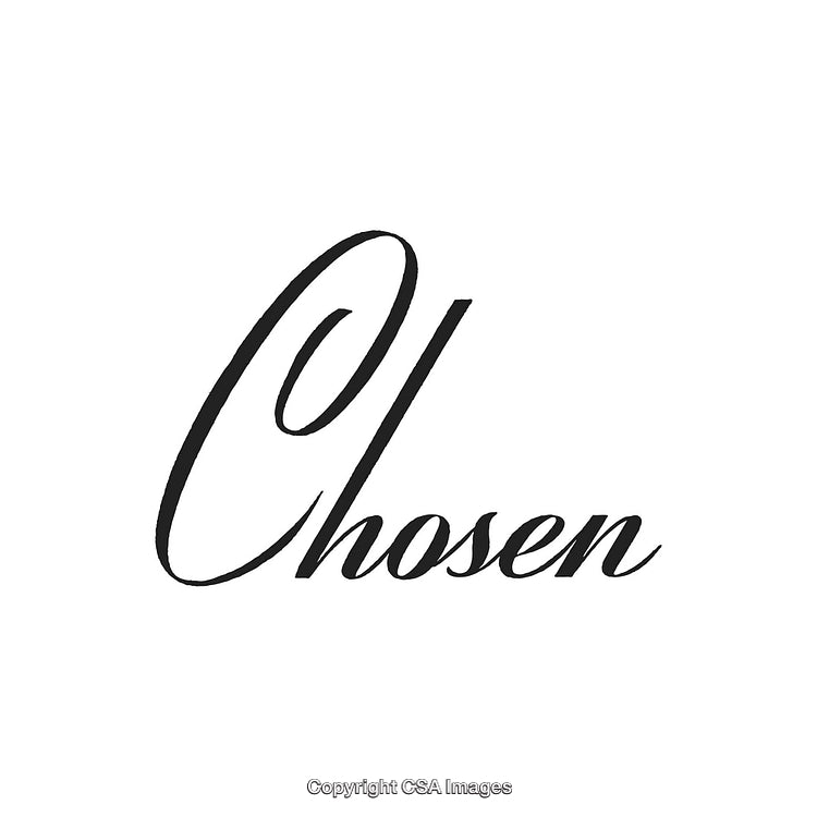 Elegant Script Typography Displaying the Word Chosen in Artistic Calligraphy Style