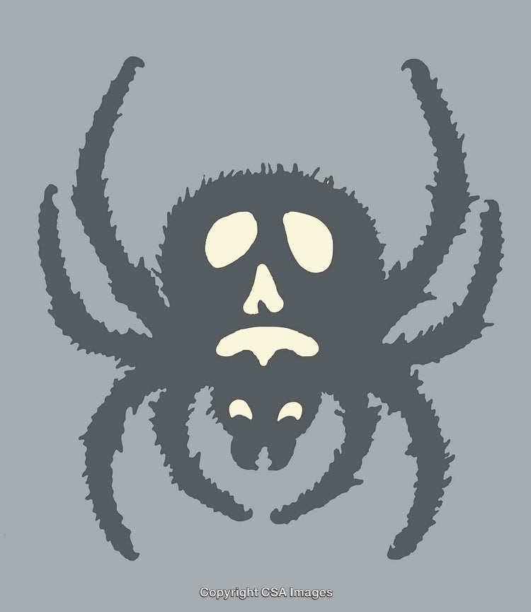 Monochromatic Illustration of Spider With Skull Face on Gray Background