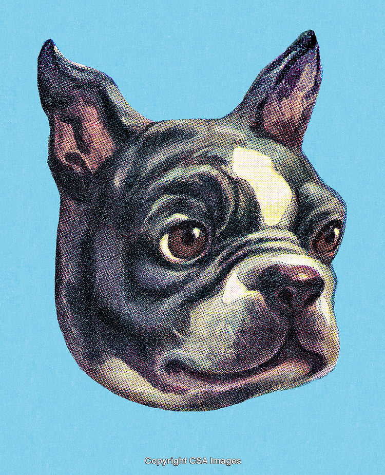 Vintage Illustration of a Dog's Face Against a Blue Background