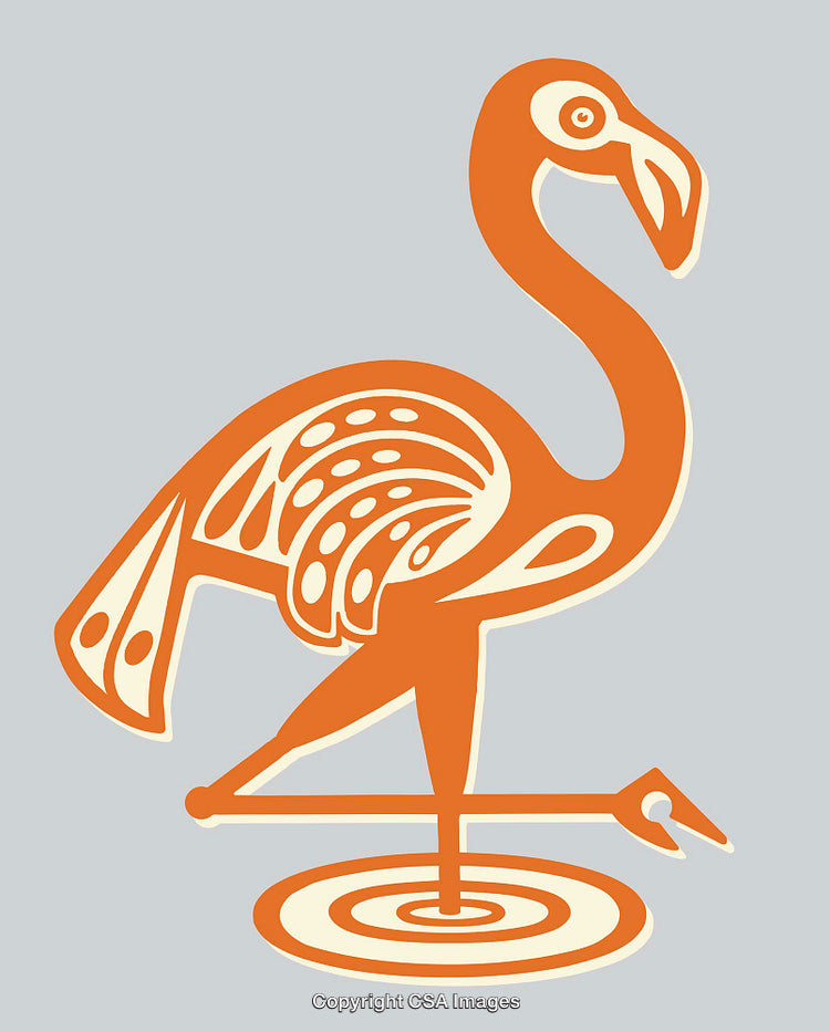 Colorful Illustration of a Flamingo Designed in Abstract Line Art Style