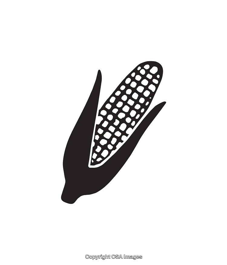 Black And White Corn Illustration Isolated on White Background