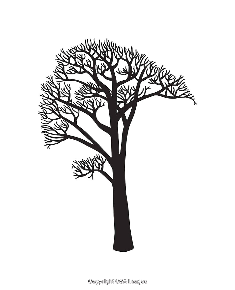 Black and White Silhouette of a Bare Tree Illustration