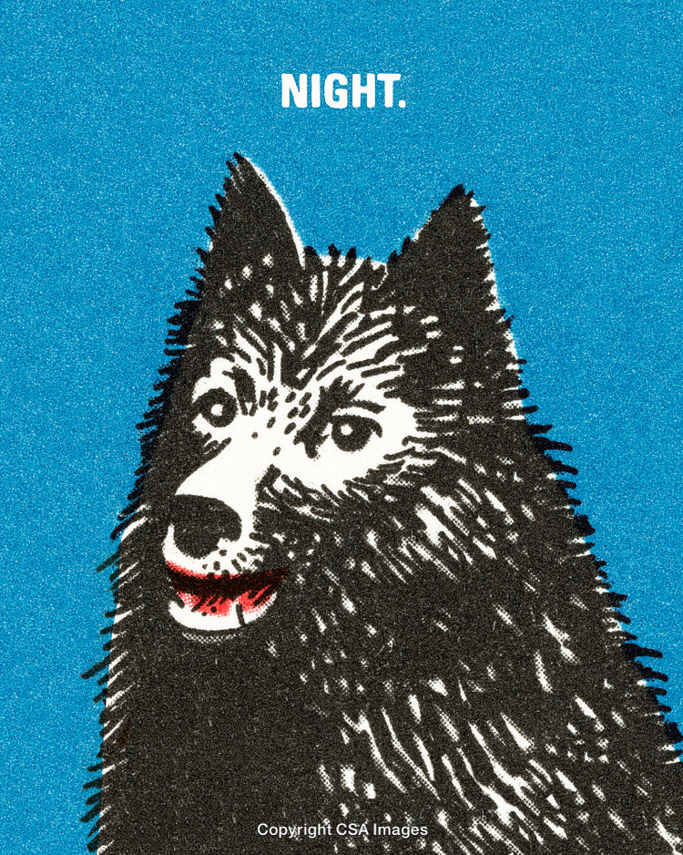 Illustration of a Husky Dog Against a Bright Blue Background