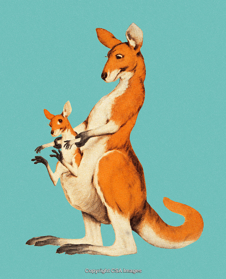 Illustration of a Kangaroo with Its Joey on a Solid Teal Background