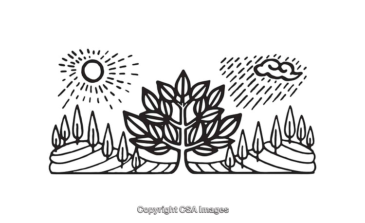 Black and White Line Art Illustration of Nature Elements