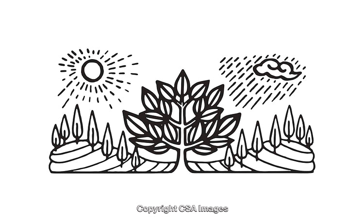 Black and White Line Art Illustration of Nature Elements