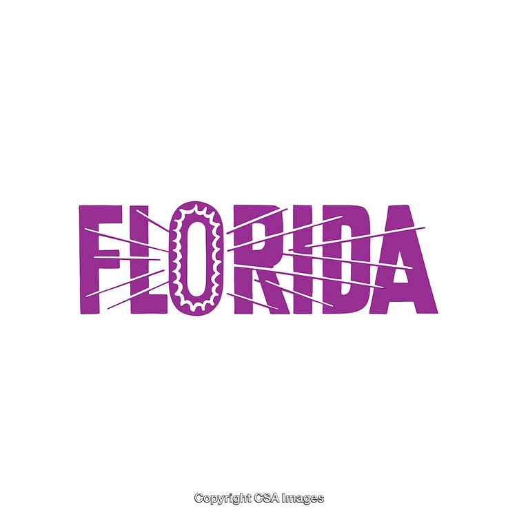 Creative Purple Florida Typography With Geometric and Unique Design Elements