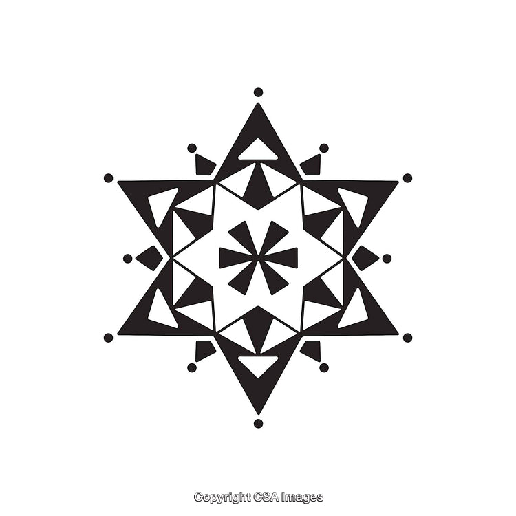 Stylized Black and White Geometric Star with Intricate Patterns