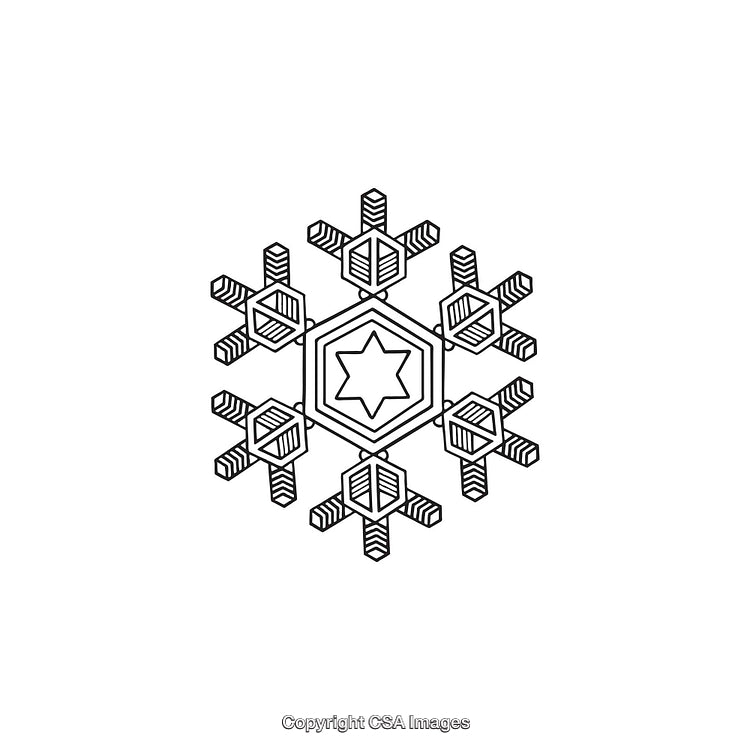 Elegant Black and White Geometric Snowflake Icon with Star Center