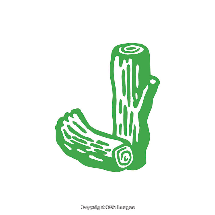 Creative Illustration Representing the Letter J as Log-Inspired Artwork