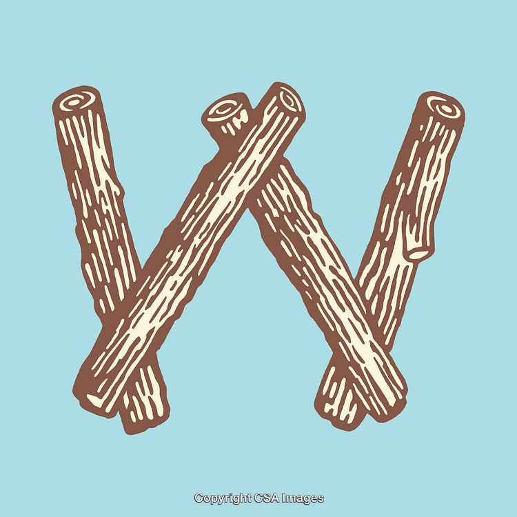 Illustration of the Letter W Created Using Wooden Sticks on Blue Background